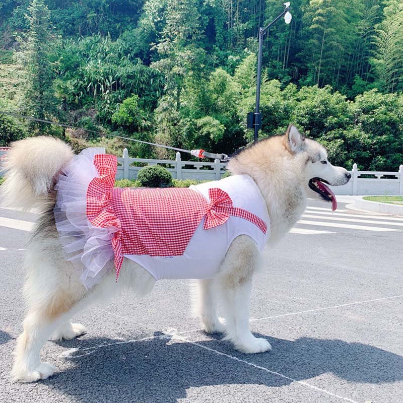 Dog Clothes Princess Dog Costume Labrador Golden Retriever Big Dog Clothes Purrfect Pawz