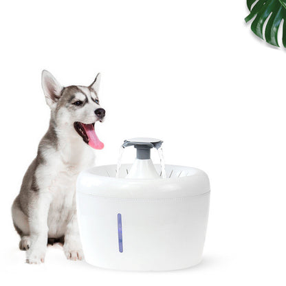 Xiaoyi New Pet Water Dispenser Cats And Dogs Electric Water Dispenser Purrfect Pawz