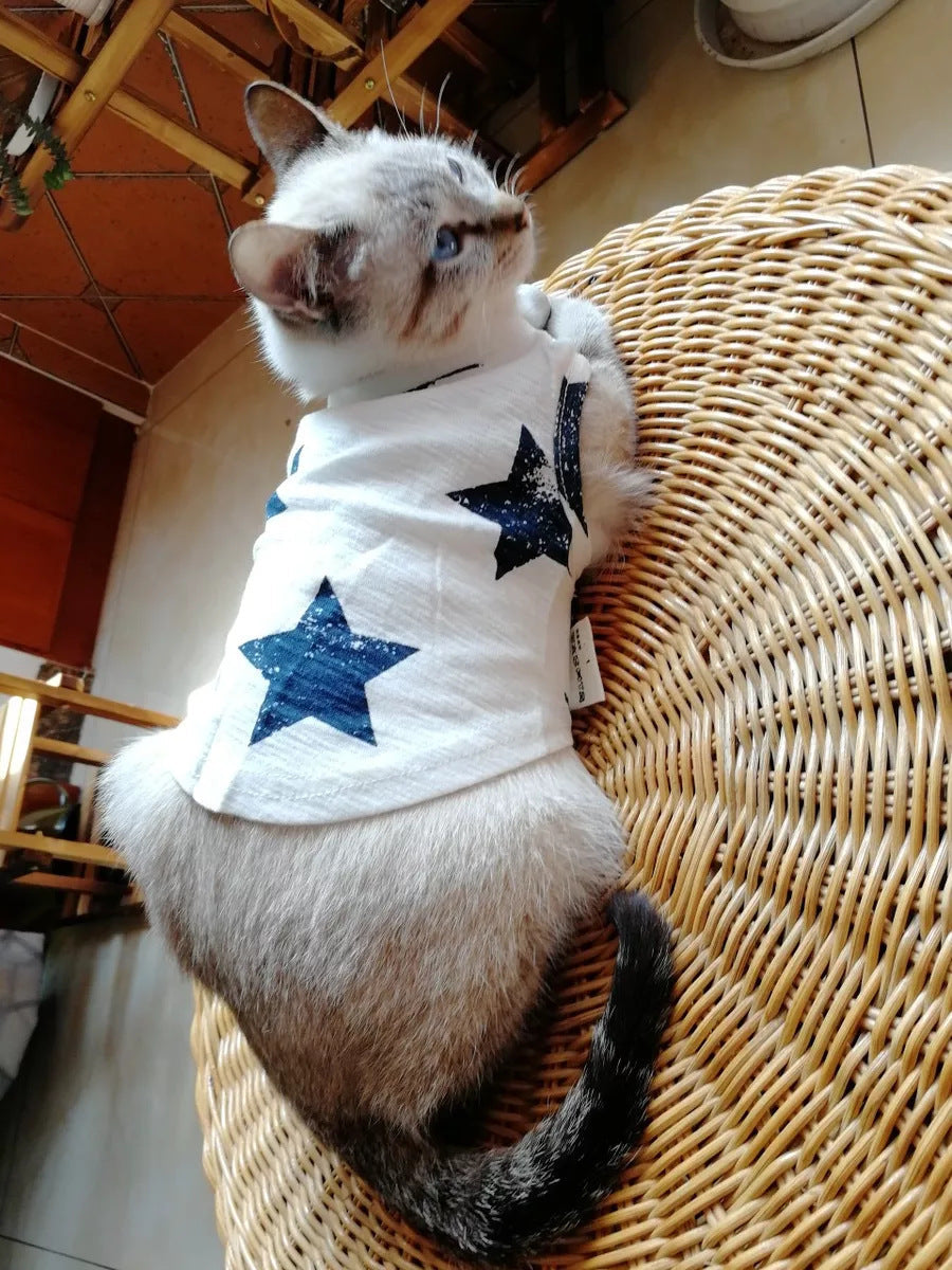 Pet Clothes Dog Clothes Pet Dog Clothes Purrfect Pawz
