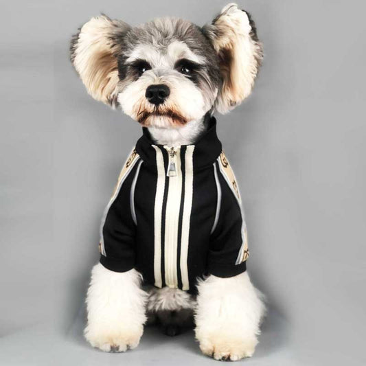 Dog Clothes Spring And Autumn New Sweater Summer Purrfect Pawz