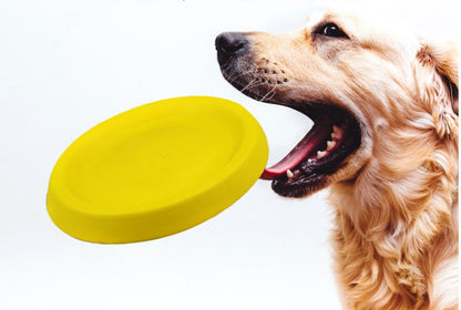 Pet Dogs Throwing Plastic Toys Purrfect Pawz
