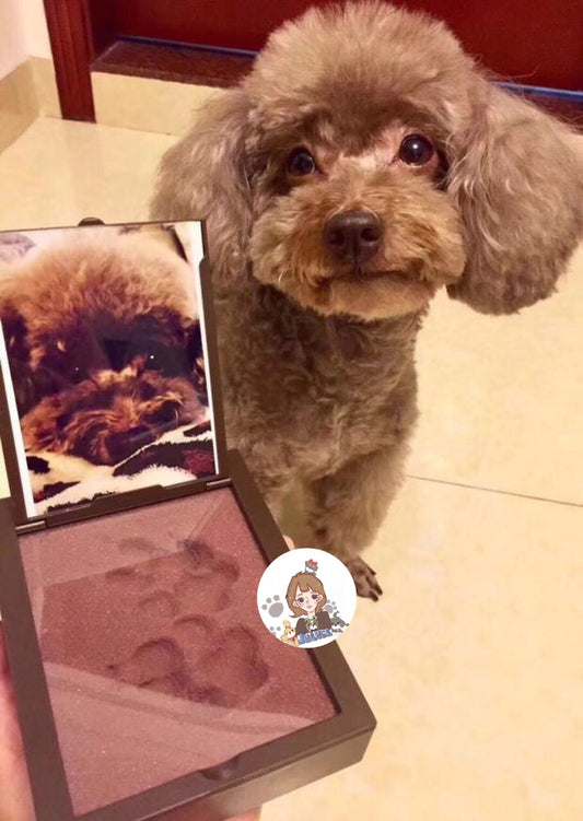 Permanently Save Pet Dogs, Cats And Dogs Purrfect Pawz