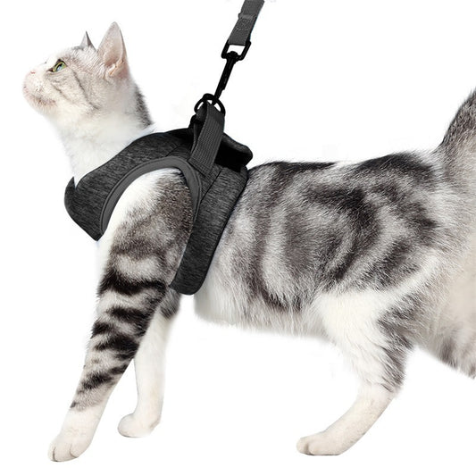 Chest Harness Cat Leash Vest Purrfect Pawz