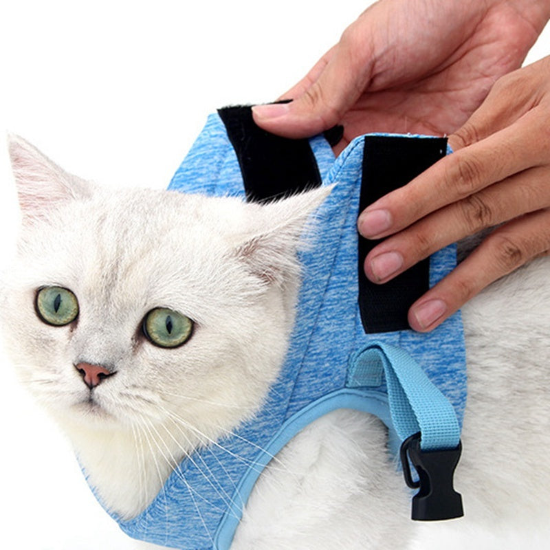 Chest Harness Cat Leash Vest Purrfect Pawz