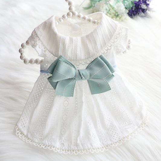 Princess Mint Butterfly Cat Pet Clothes Purrfect Pawz