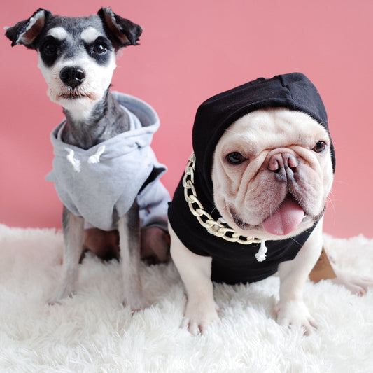Pet summer vest hooded sweater T-shirt letter printing dog cat clothes Fadou Schnauzer Purrfect Pawz