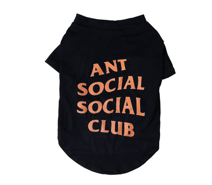 Pet Clothes Trendy Brand Dog Clothes Summer Purrfect Pawz