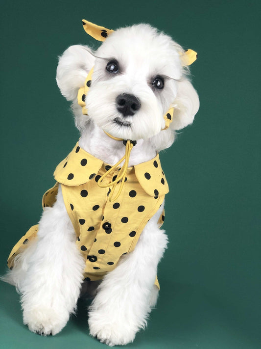 Dog Clothes Summer Thin Small Dog Cute Princess Dress Teddy Schnauzer Corgi Cat Pet Outfit Purrfect Pawz