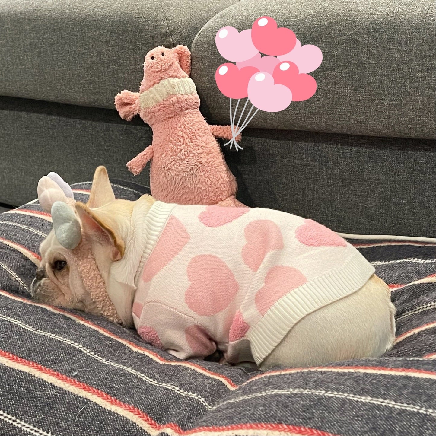 Clothes Dog Cat Fighting Teddy Schnauzer Puppy Fall Winter Sweater Purrfect Pawz