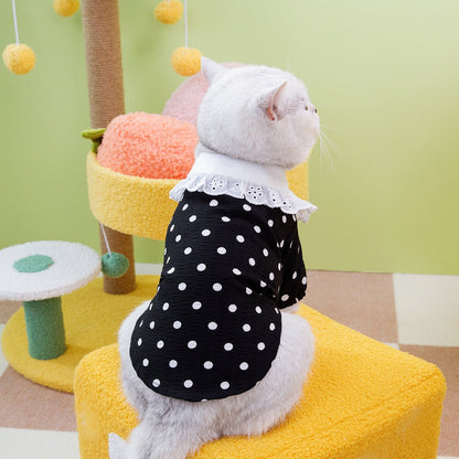 Pet Clothes Blue Cat Ragdoll T-shirt Clothing Purrfect Pawz
