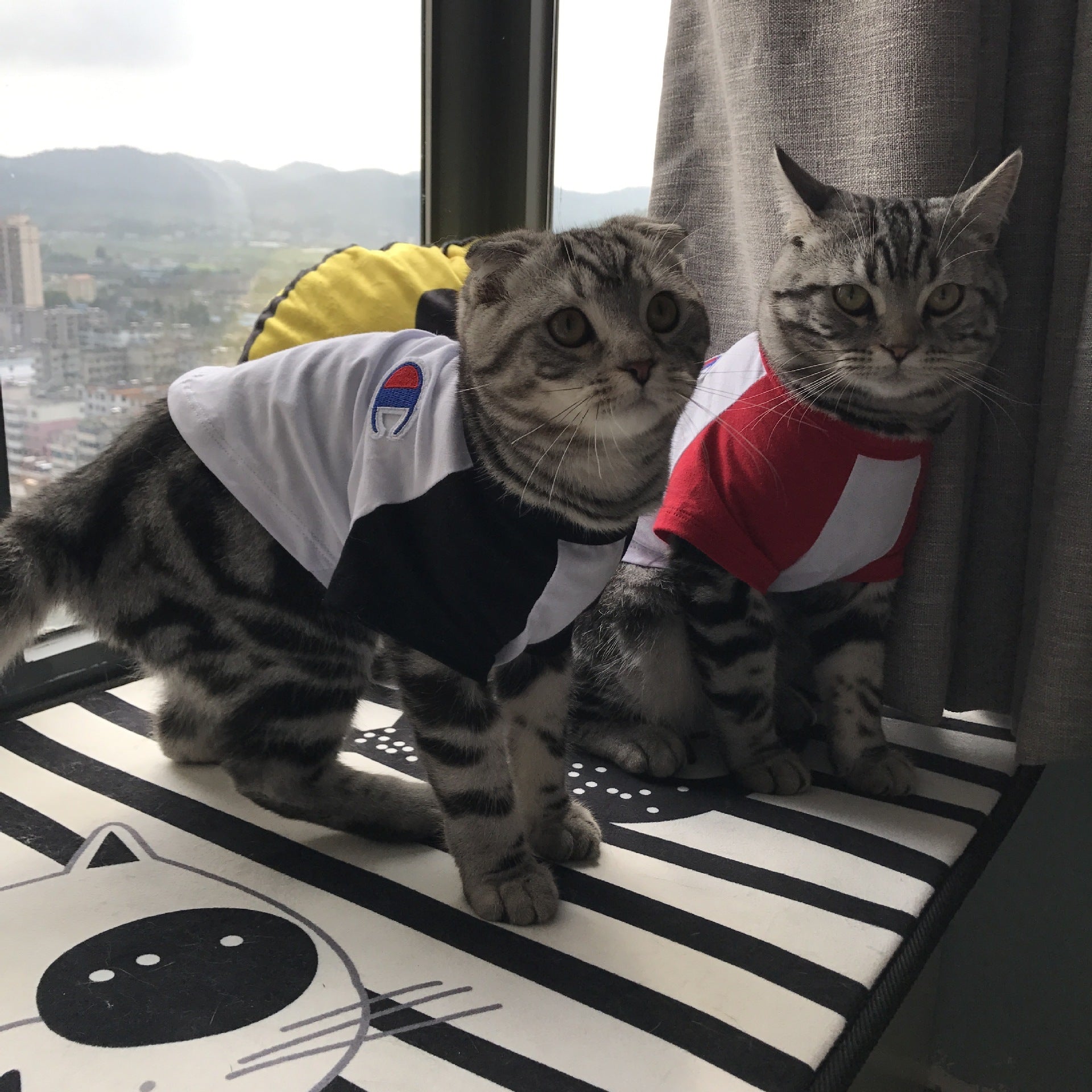 Pet tide brand clothes t-shirt dog cat summer season Purrfect Pawz
