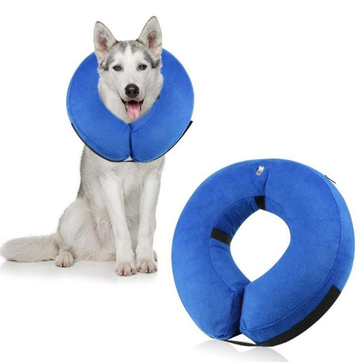 Protective Inflatable Collar for Dogs and Cats Purrfect Pawz