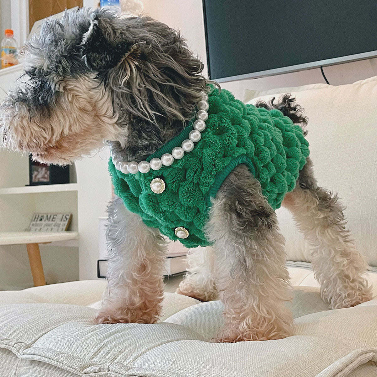 Pet Fashionable Coat Cat Dog Clothes Bullfight Corgi Warm Plush Vest Purrfect Pawz