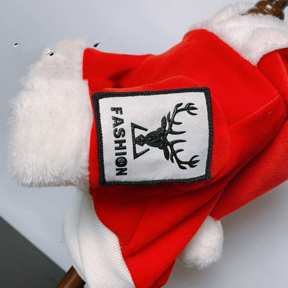 Cat Teddy Golden Retriever Dog Clothes Purrfect Pawz