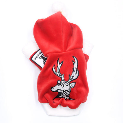 Cat Teddy Golden Retriever Dog Clothes Purrfect Pawz