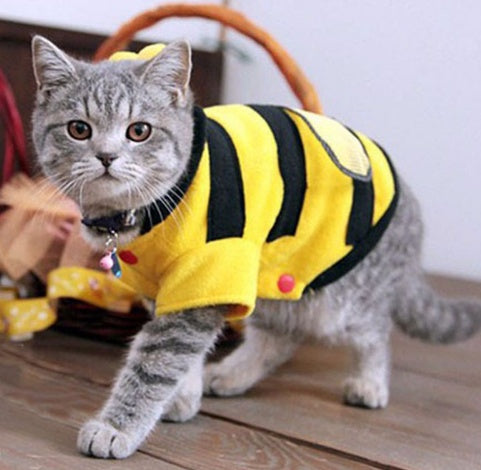 1Pcs Pet Clothes Cute Bees Dog Cat Clothes Soft Fleece Teddy Poodle Dog Clothes For Pets Product Supplies Accessories Purrfect Pawz