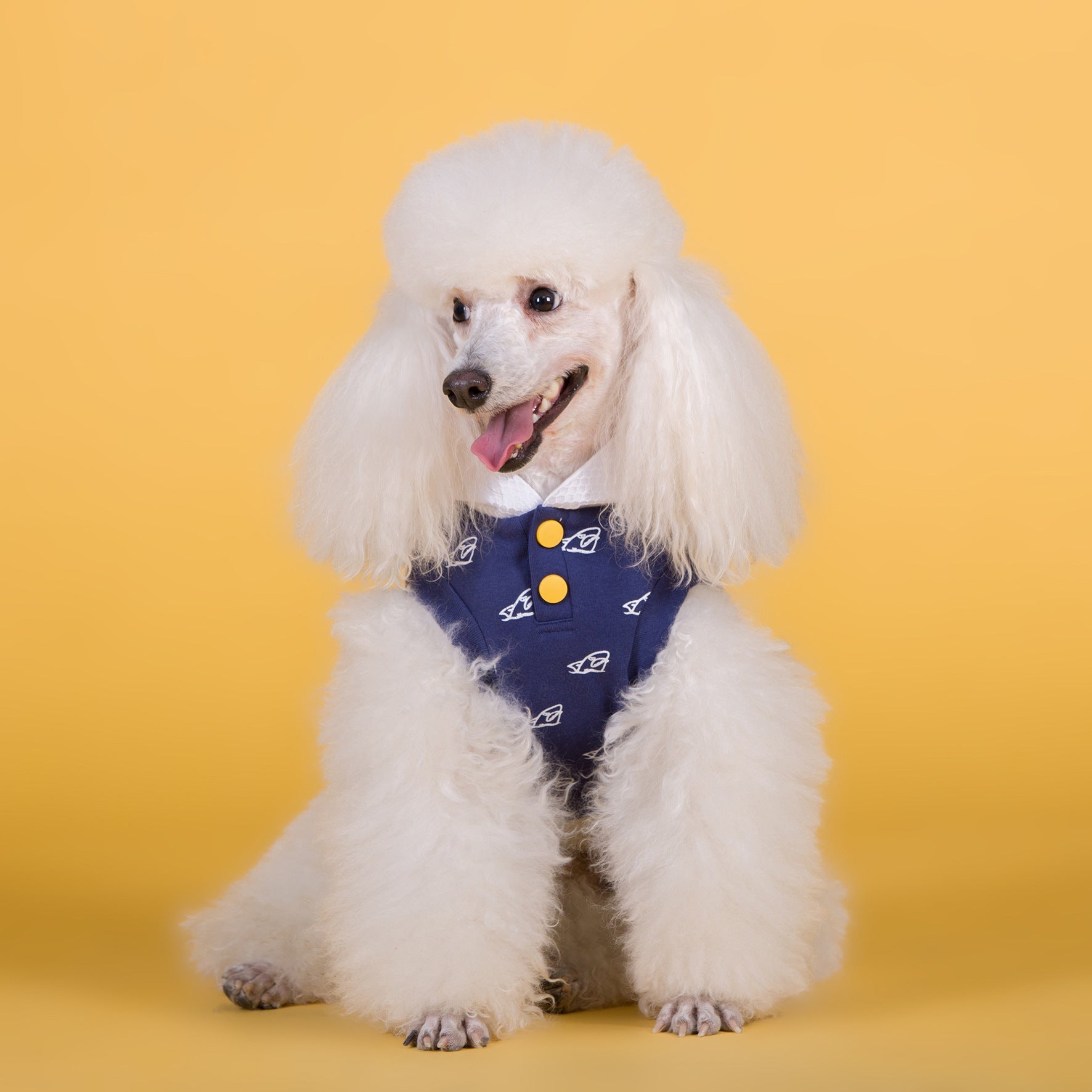 New Cotton Stretch Dog Clothes For Spring And Summer Purrfect Pawz