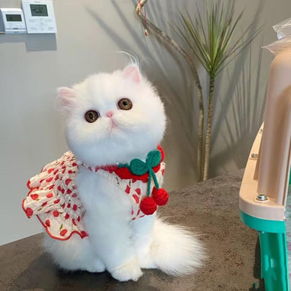 Dog Pet Clothes Summer Halter Skirt Purrfect Pawz