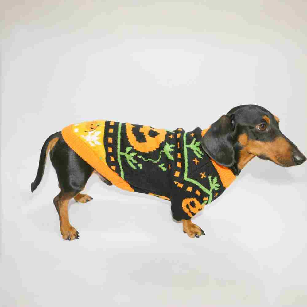 Dog Cat Pet Clothes Warm Pumpkin Color Matching Sweater Purrfect Pawz