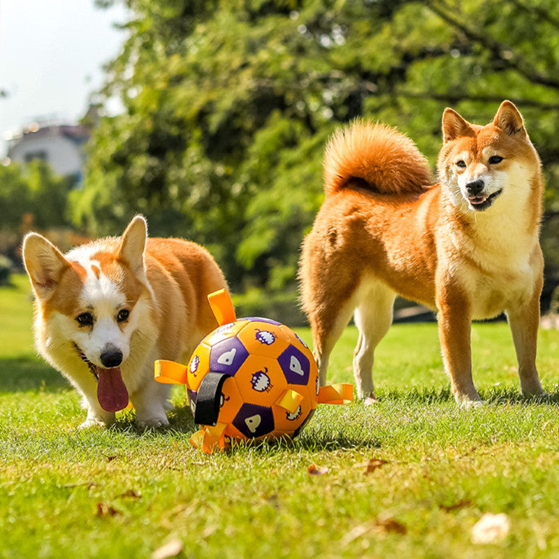 Pet Interactive Football Dog Outdoor Toy Molar Long Lasting imanizpuphub.com