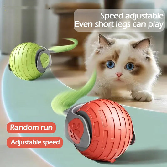 New Interactive Cat Toys Ball Auto Electric Rolling Ball Toys For Cat Kitty Pets Smart Automatic Teaser USB Rechargeable Cat Toy Pet Products Purrfect Pawz