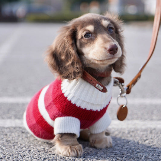 Sausage Dog Clothes Small Dog Cat Warm Thickened Sweater Purrfect Pawz