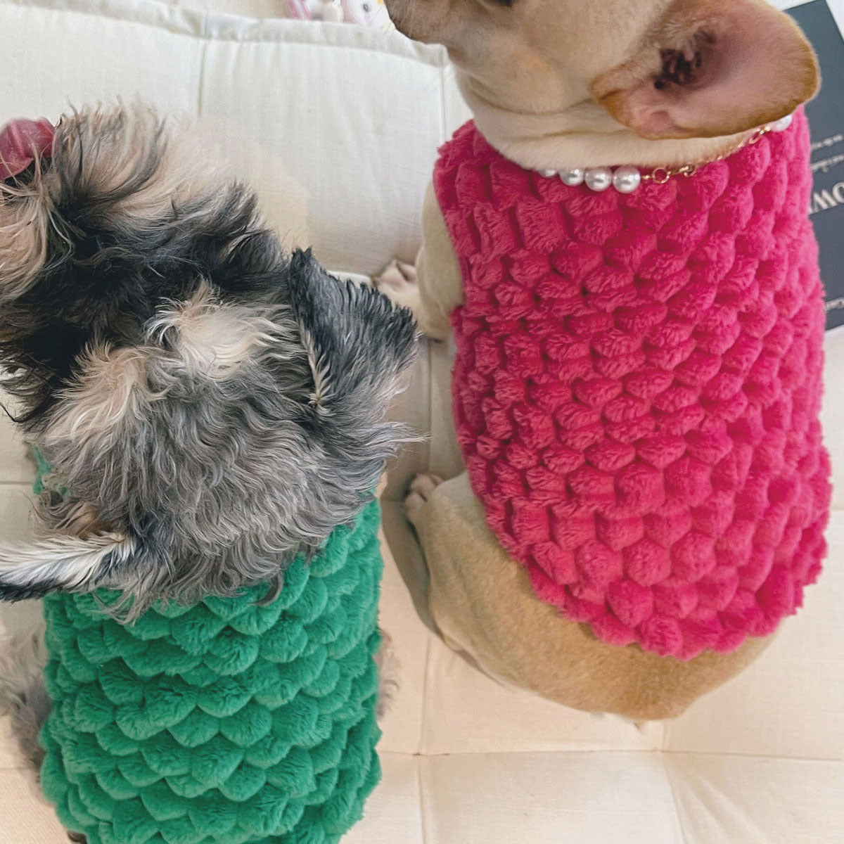 Pet Fashionable Coat Cat Dog Clothes Bullfight Corgi Warm Plush Vest Purrfect Pawz