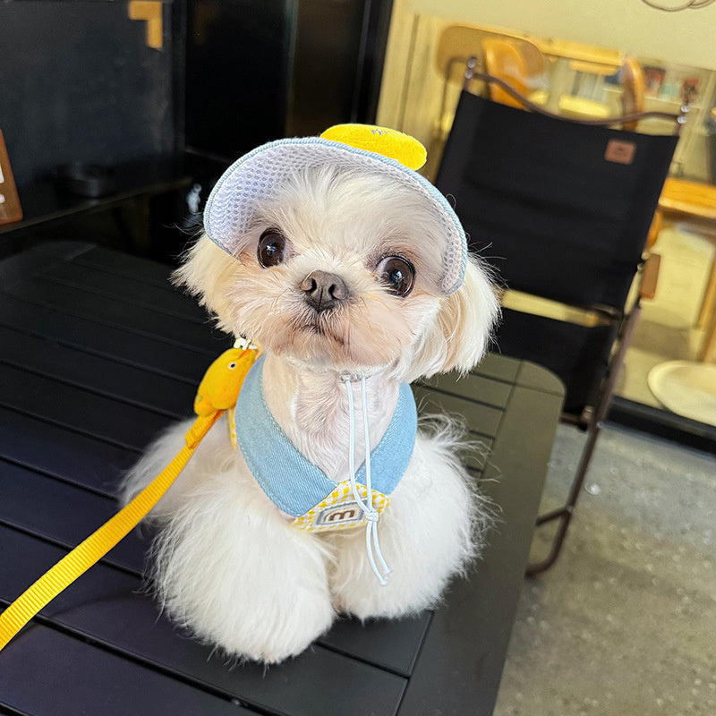 Spring Summer Pet Wire Rope Pulling Rope Cute Hat Three Piece Cat Clothes Outgoing Pulling Set Dog Harness And Leash Set Purrfect Pawz