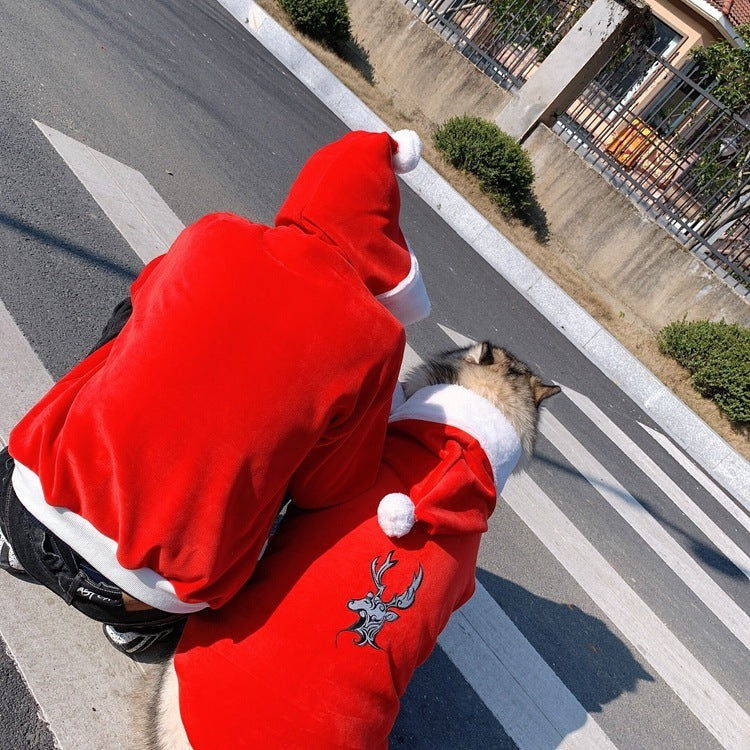 Cat Teddy Golden Retriever Dog Clothes Purrfect Pawz