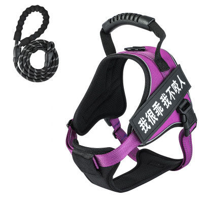 Pet harness with leash Purrfect Pawz