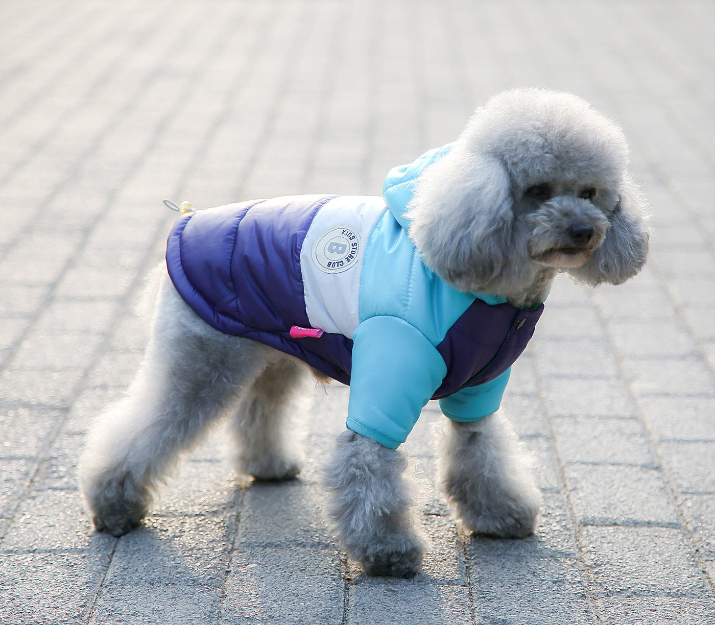 Two-Legged Cotton-Padded Clothes Multi-Color Optional Dog Warm Outdoor Clothes Purrfect Pawz