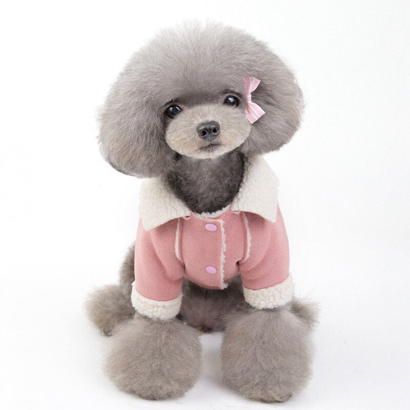 Cute Dog Clothes Cat Clothes Teddy Clothes Deerskin Velvet Lapel Jacket Purrfect Pawz