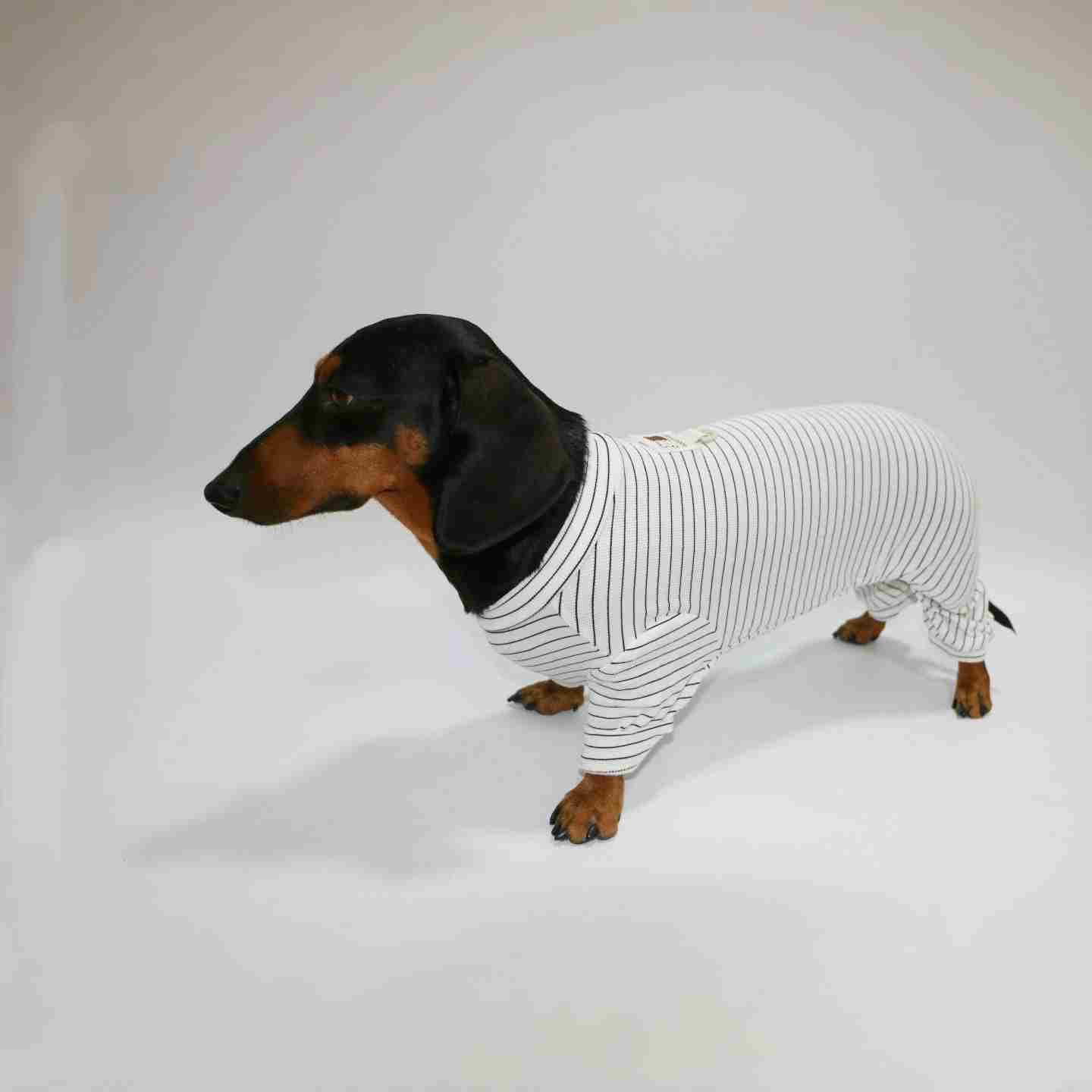 Thin Striped Dog Cat Pet Clothes Purrfect Pawz