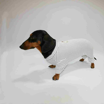 Thin Striped Dog Cat Pet Clothes Purrfect Pawz