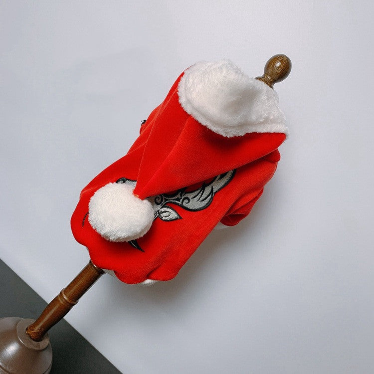 Cat Teddy Golden Retriever Dog Clothes Purrfect Pawz