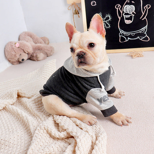 Pet Dog Fashion Sweater Two-legged Clothes Purrfect Pawz
