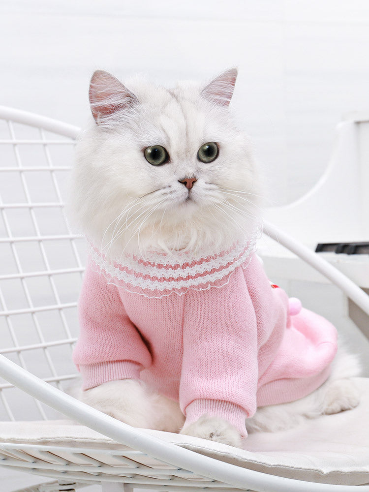 Cat casual clothes Purrfect Pawz