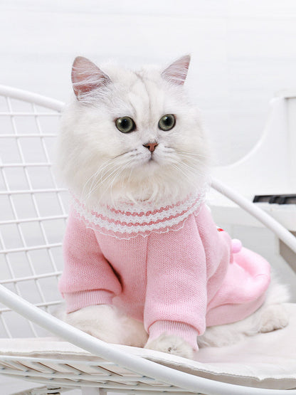 Cat casual clothes Purrfect Pawz