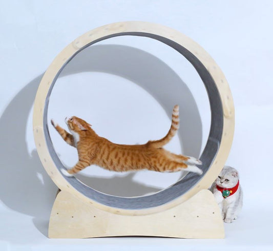 Special Toys For Cat Treadmill Roller Purrfect Pawz