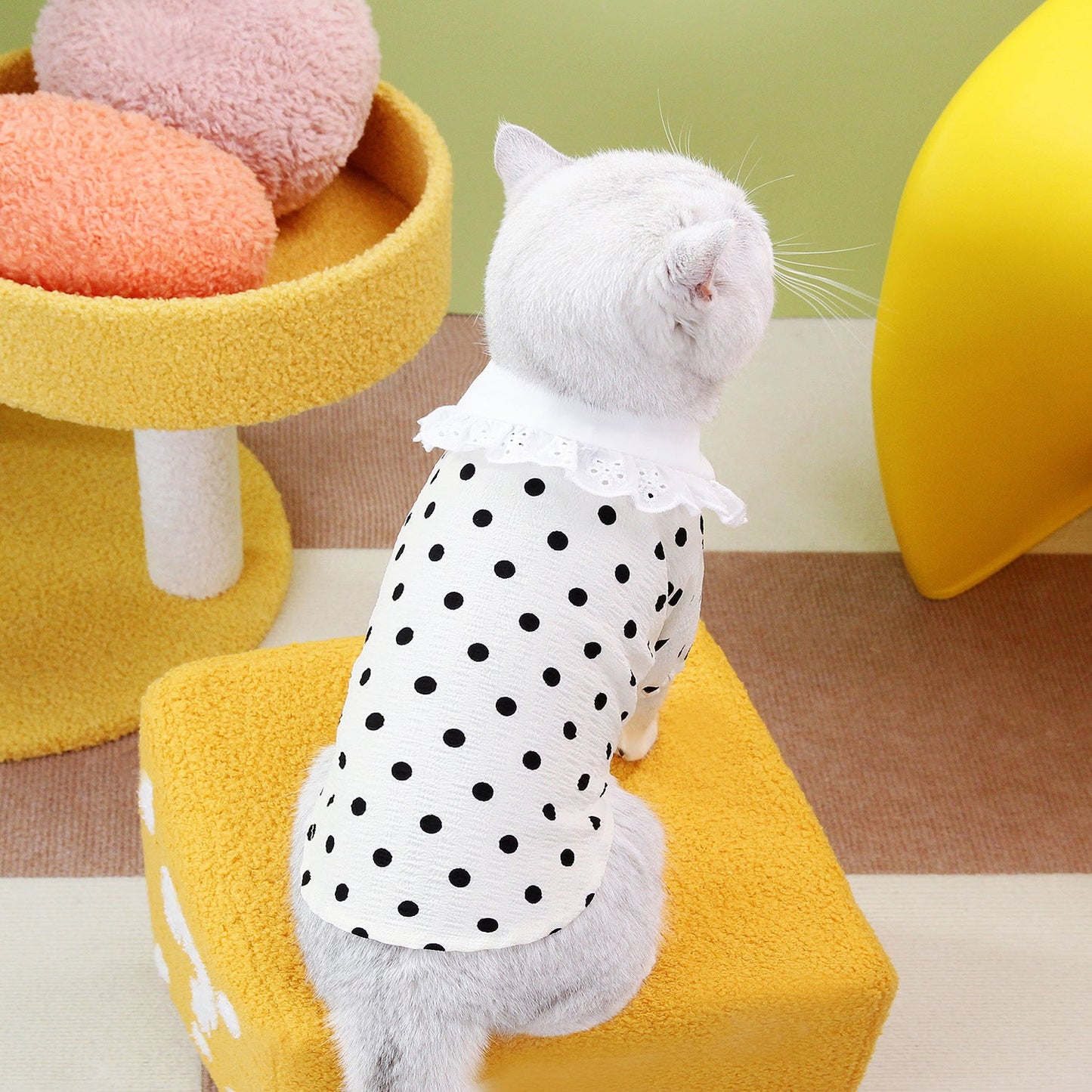 Pet Clothes Blue Cat Ragdoll T-shirt Clothing Purrfect Pawz