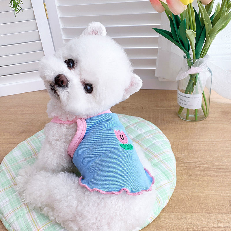 Dog Clothes Summer Thin Summer Clothes Pet Small Dog Purrfect Pawz