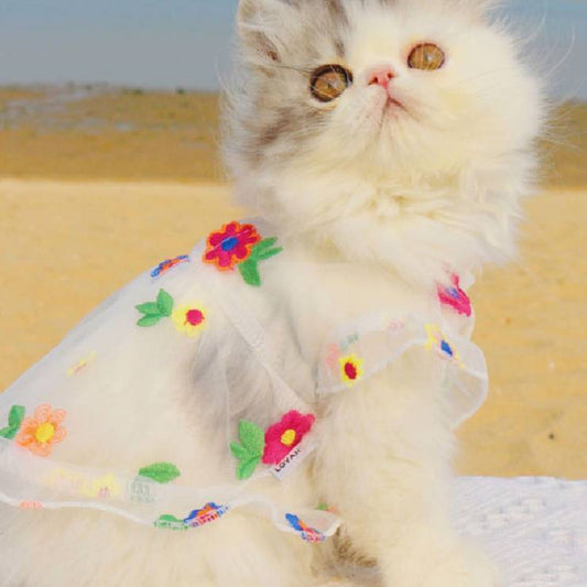 Mesh Flower Embroidery Dress Cat Clothes Purrfect Pawz
