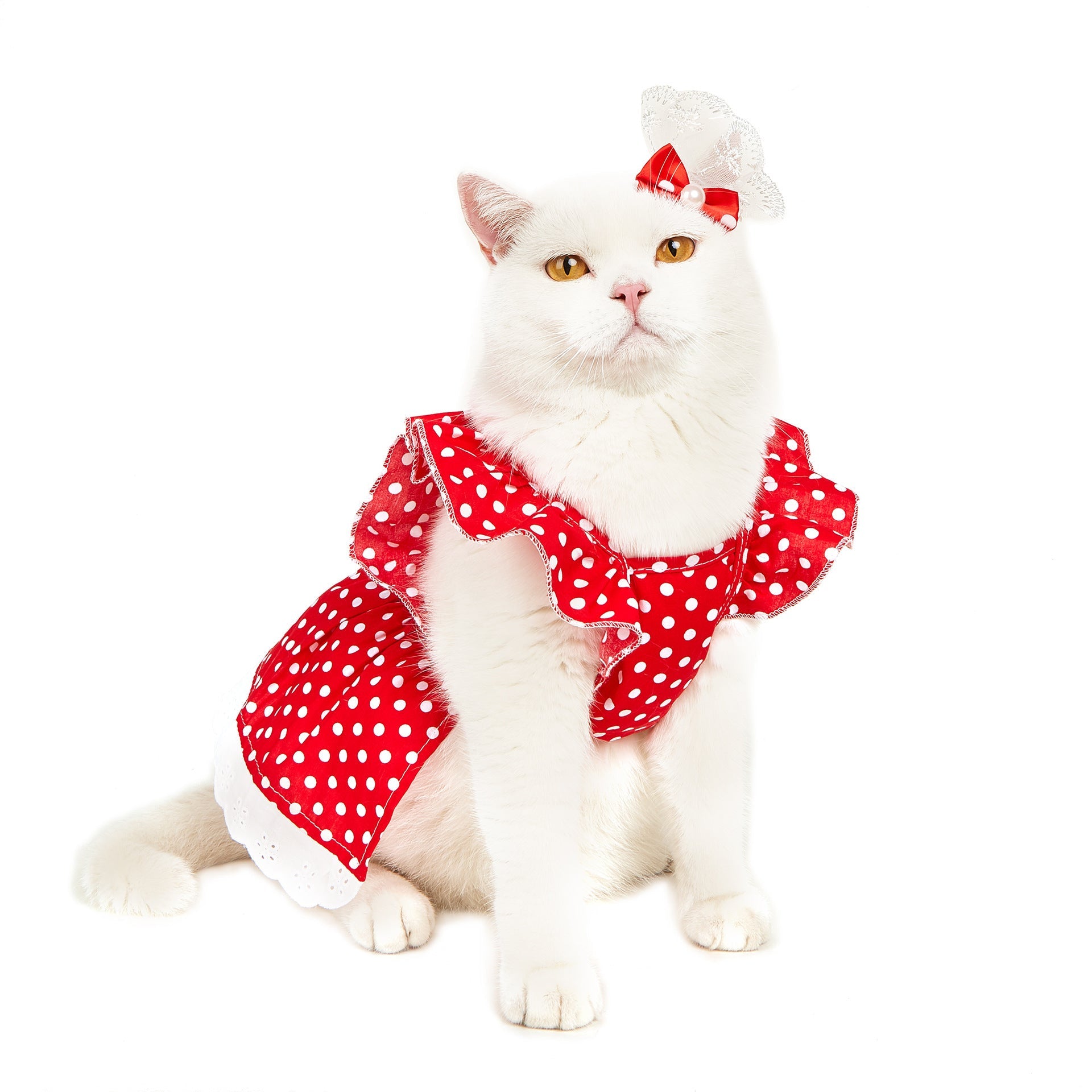 Black And White Polka Dot Dress Dog Princess Cute Skirt Purrfect Pawz