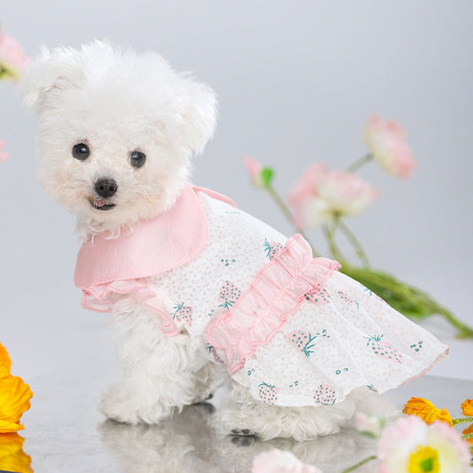 Cat Clothes Anti Hair Loss Puppet Pet Purrfect Pawz