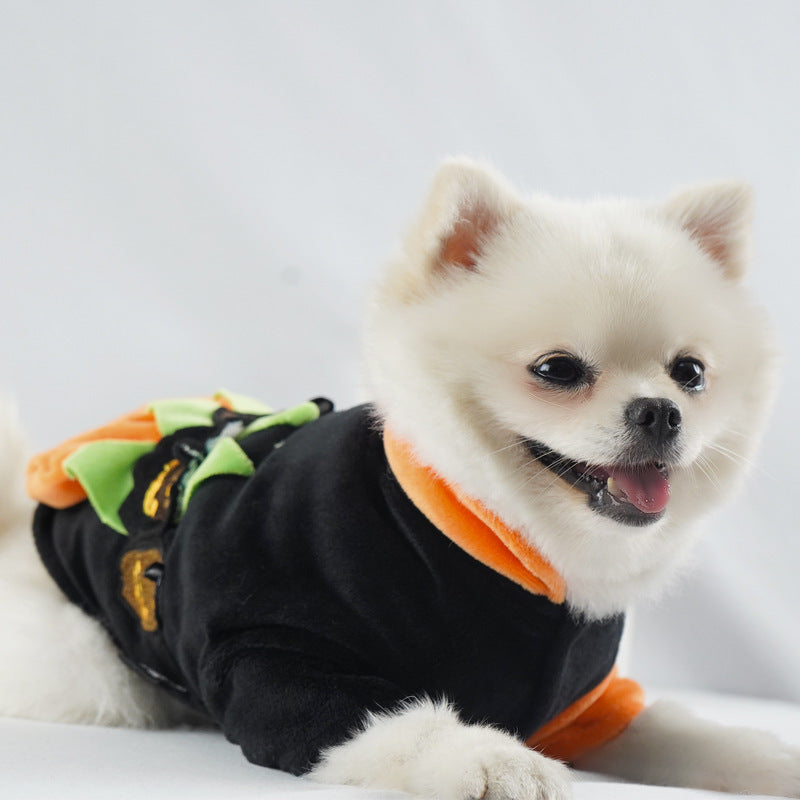 Autumn And Winter Pet Clothes Purrfect Pawz