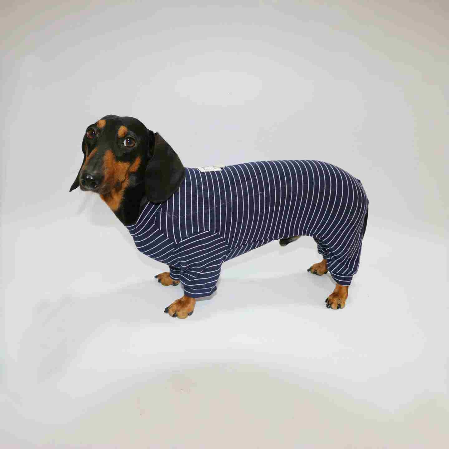 Thin Striped Dog Cat Pet Clothes Purrfect Pawz