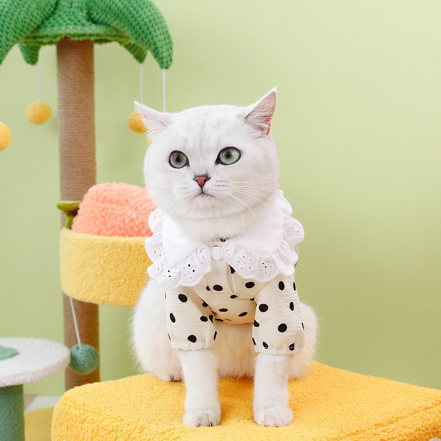 Pet Clothes Blue Cat Ragdoll T-shirt Clothing Purrfect Pawz