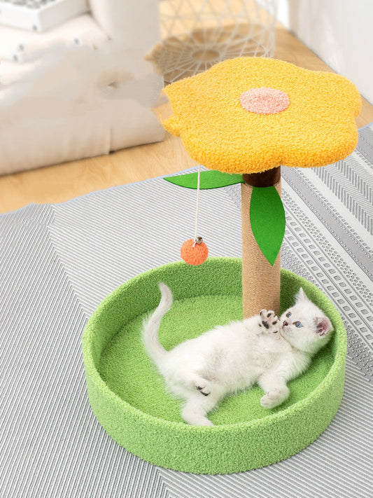 Grinding Claws And Teasing Cat Toys Purrfect Pawz