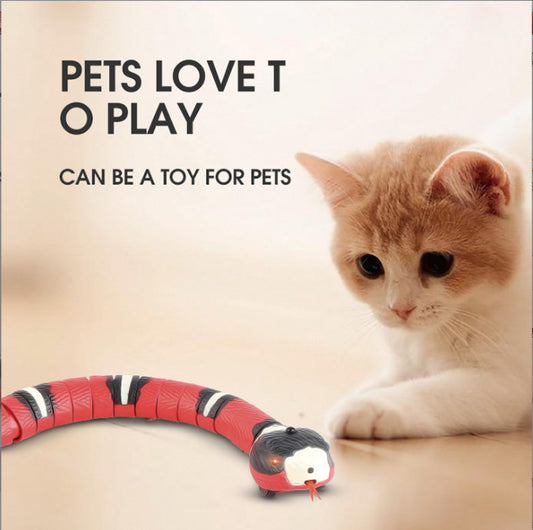 Smart Sensing Snake Cat Toys Electric Interactive Toys For Cats USB Charging Cat Accessories For Pet Dogs Game Play Toy Purrfect Pawz