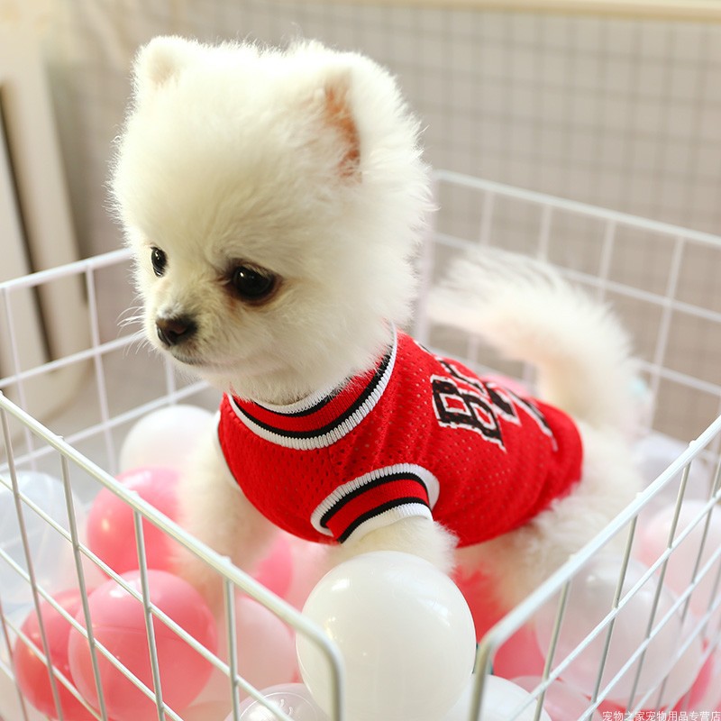 Dog Summer Clothes Teddy Vest Breathable Purrfect Pawz